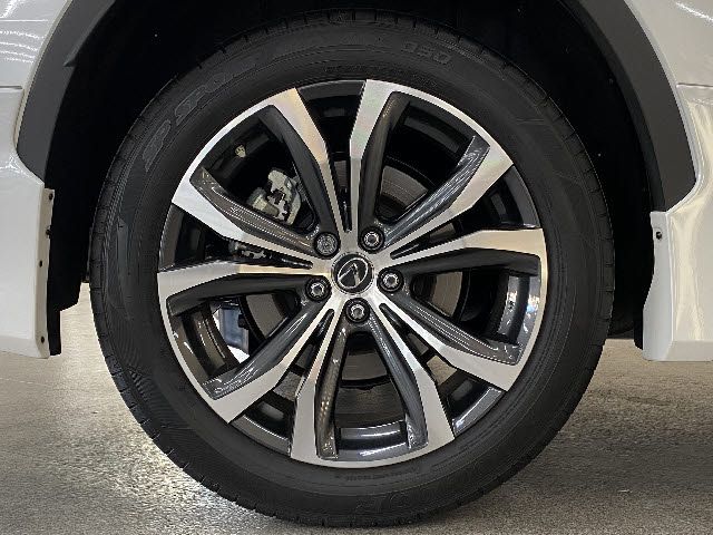 Lexus RX 2021-05 490-26