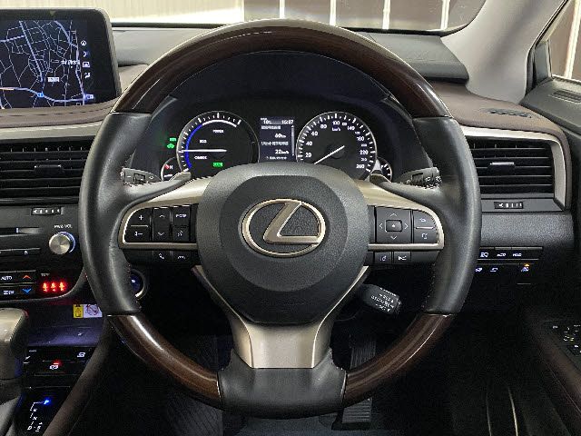 Lexus RX 2021-05 490-13