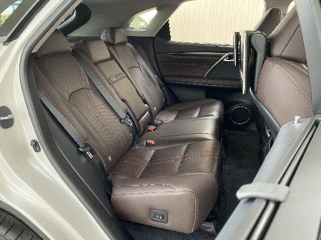 Lexus RX 2021-05 490-9
