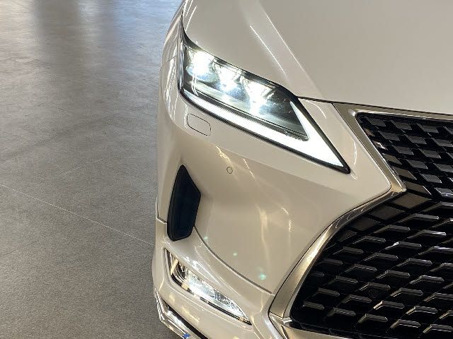 Lexus RX 2021-05 490-25