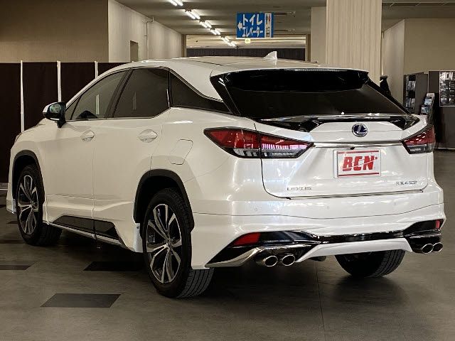 Lexus RX 2021-05 490-8