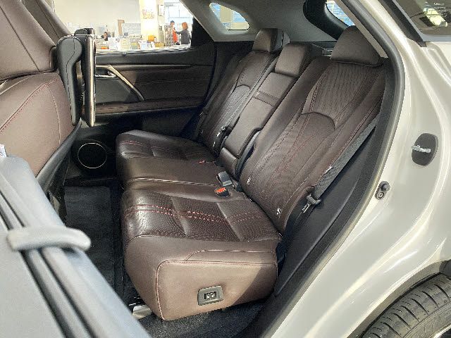 Lexus RX 2021-05 490-18