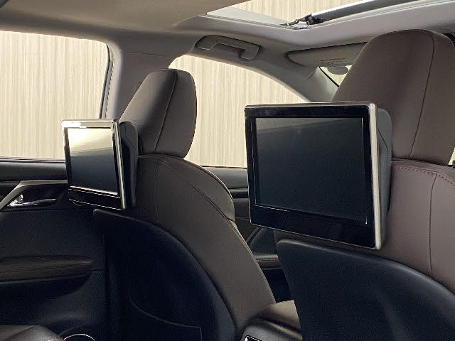 Lexus RX 2021-05 490-22