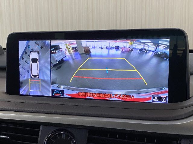 Lexus RX 2021-05 490-4