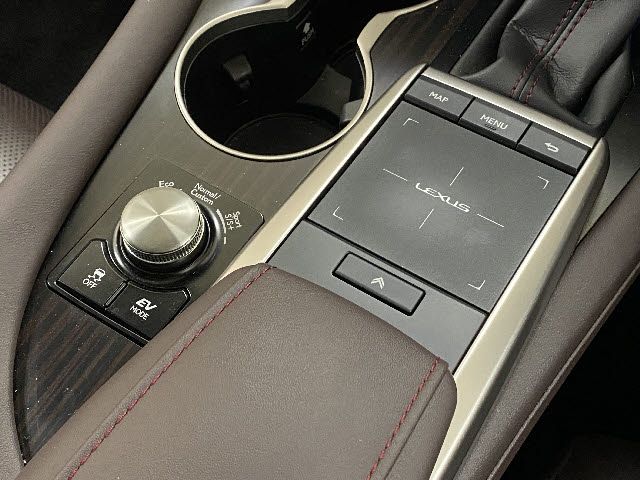 Lexus RX 2021-05 490-16