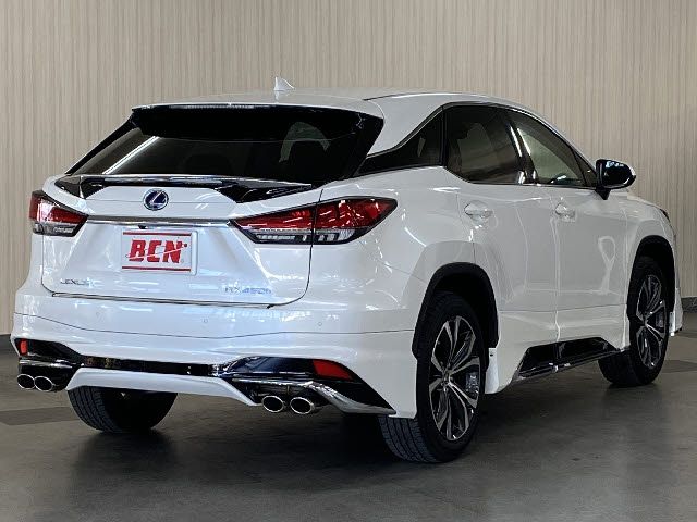 Lexus RX 2021-05 490-2