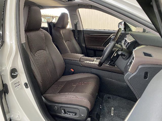 Lexus RX 2021-05 490-3