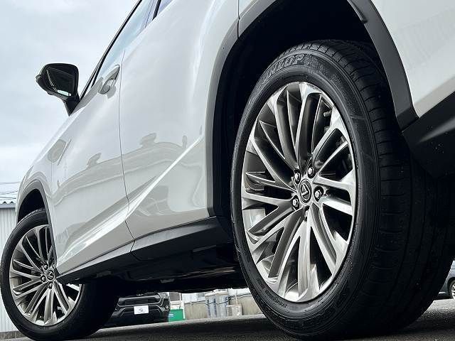 Lexus RX 2020-03 12969-10