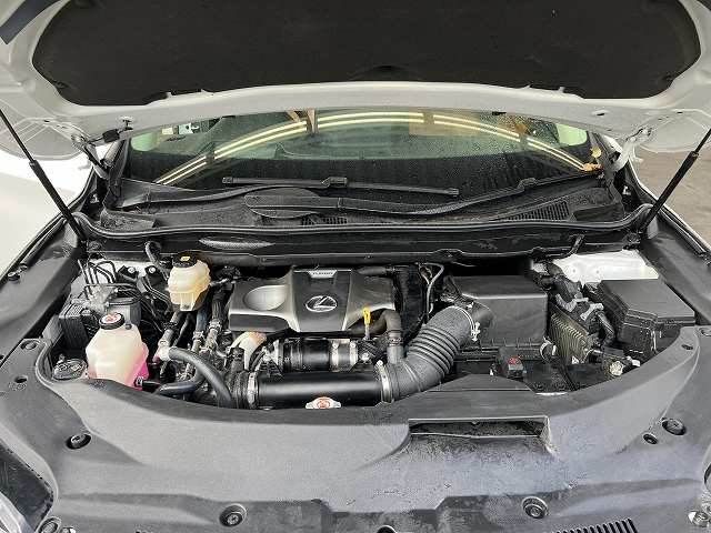 Lexus RX 2020-03 12969-13