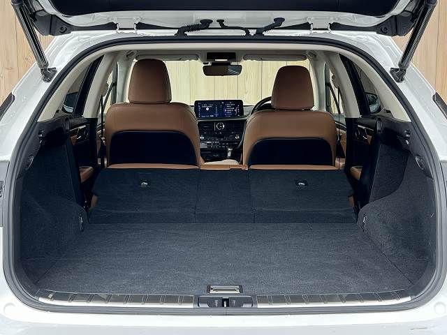 Lexus RX 2020-03 12969-19