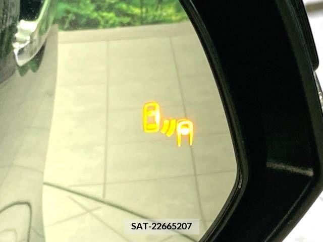 Toyota ALPHARD 2021-12 260380-5