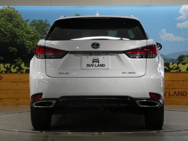 Lexus RX 2020-03 4245-15