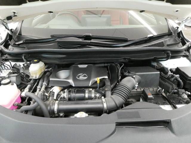 Lexus RX 2020-03 4245-18