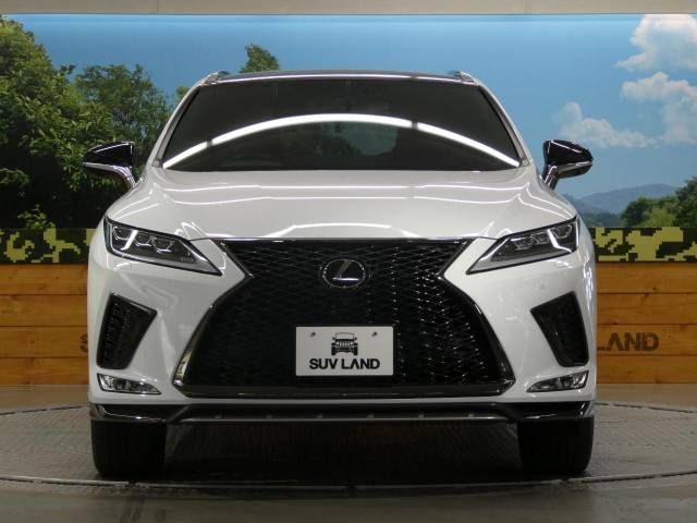 Lexus RX 2020-03 4245-14