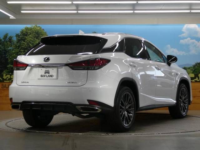Lexus RX 2020-03 4245-17