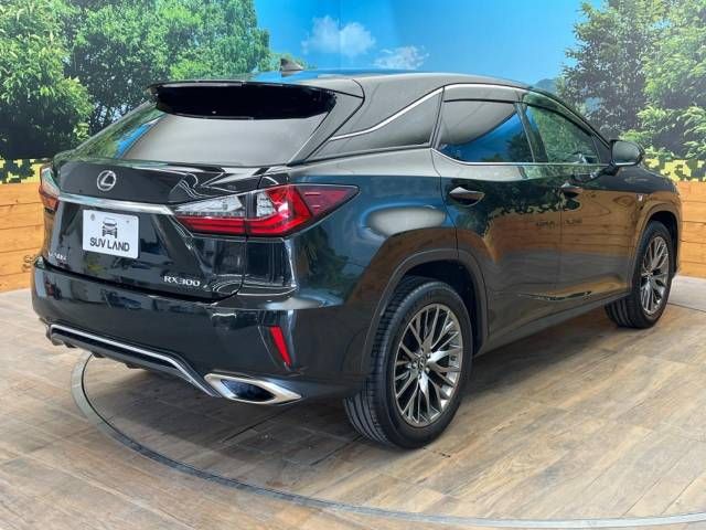 Lexus RX 2016-11 186103-16