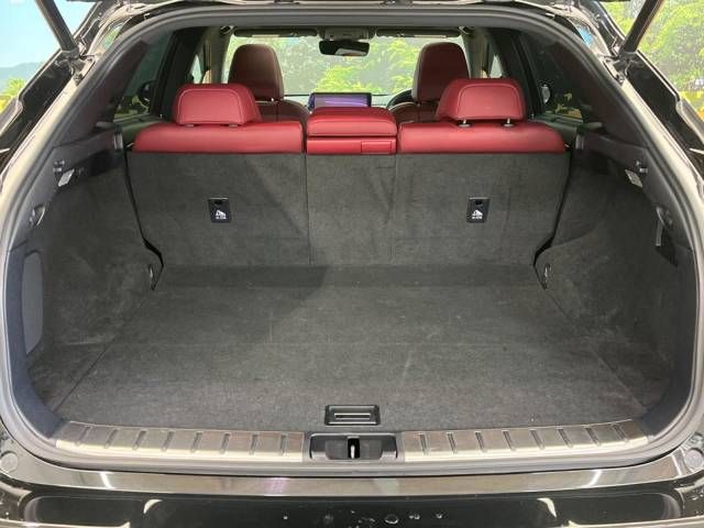 Lexus RX 2016-11 186103-9