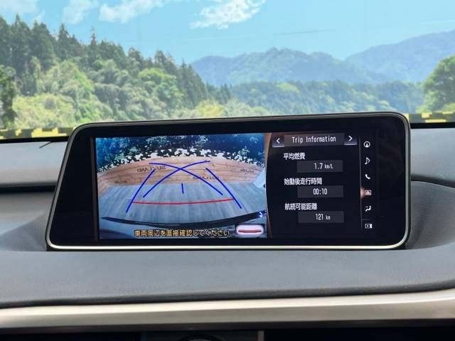 Lexus RX 2016-11 186103-4