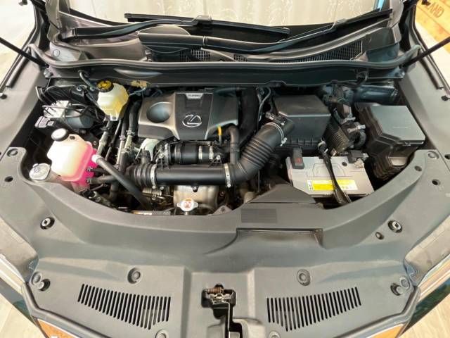 Lexus RX 2016-11 186103-17