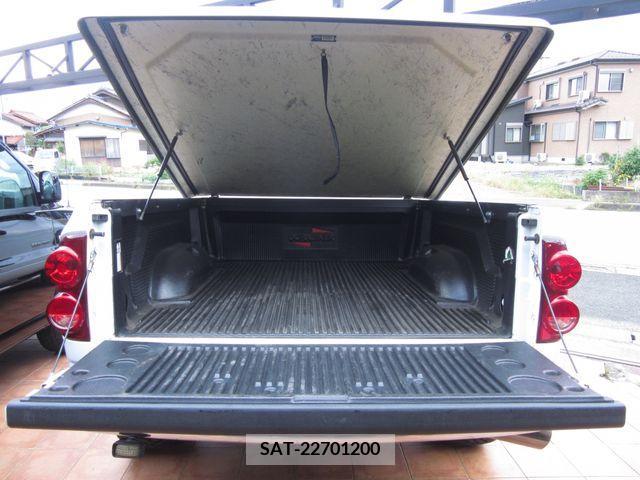 Dodge RAM 2010-09 201731-18