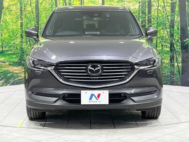 Mazda CX-8 2018-02 195190-16