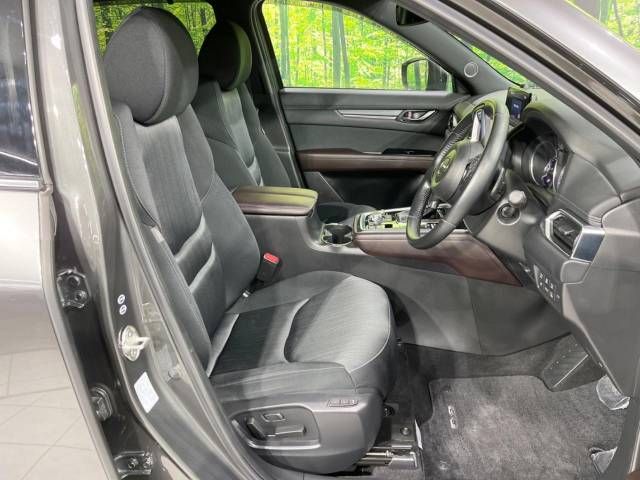 Mazda CX-8 2018-02 195190-9