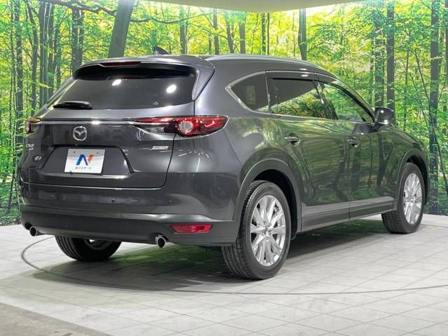 Mazda CX-8 2018-02 195190-19