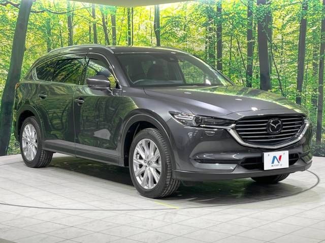 Mazda CX-8 2018-02 195190-18