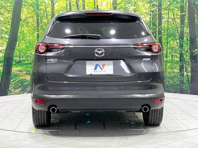 Mazda CX-8 2018-02 195190-17