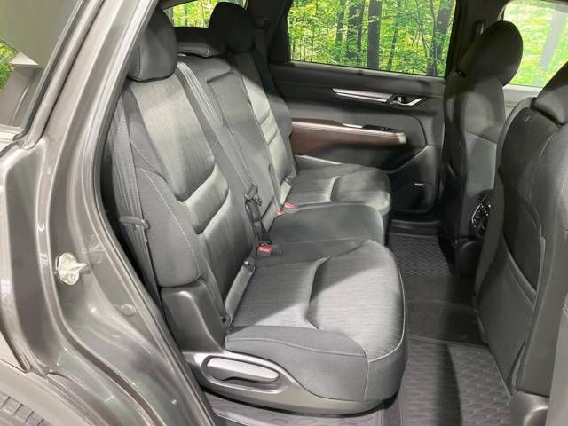 Mazda CX-8 2018-02 195190-10