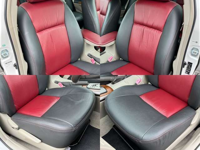 Mitsuoka GALUE 204 2009-12 187991-12