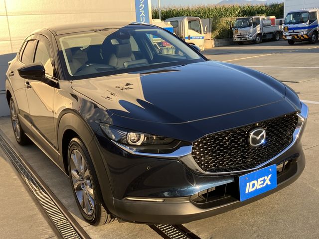 Mazda CX-30 2020-07 14681-1