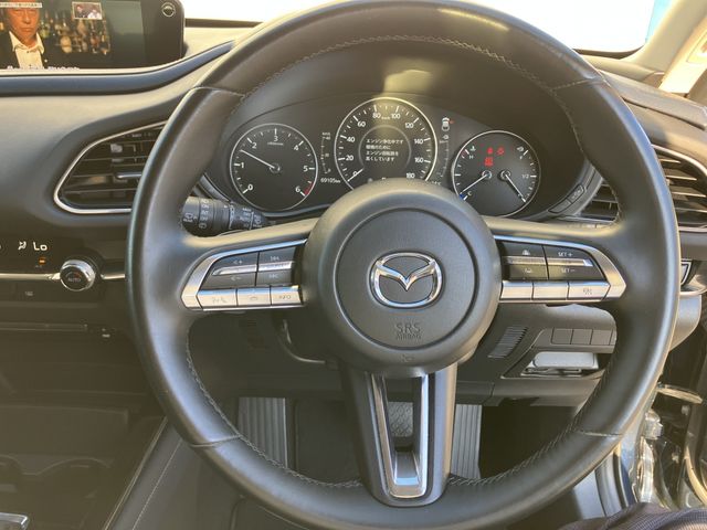 Mazda CX-30 2020-07 14681-9