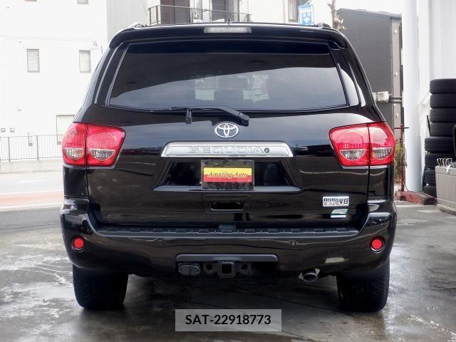 Toyota SEQUOIA 2013-04 253857-3