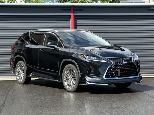 Lexus RX 2019-09 16153-24