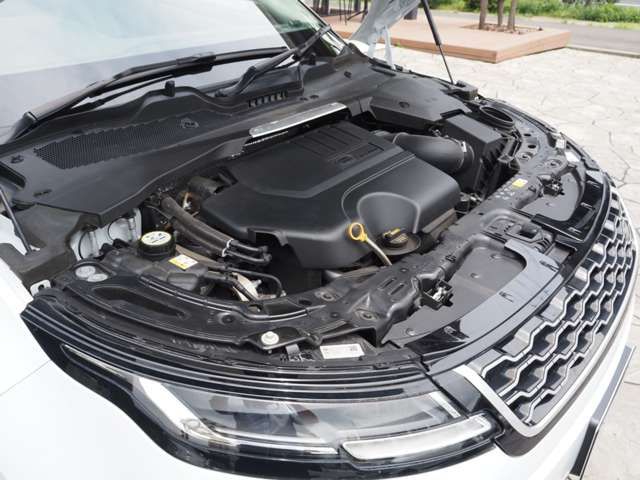 ROVER RANGE ROVER 2019-11 196324-14