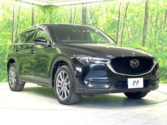 Mazda CX-5 2018-11 16625-16
