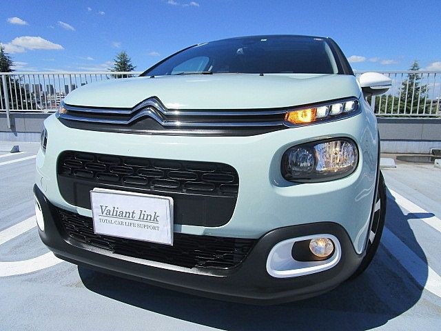 Citroen C3 2018-09 13288-6