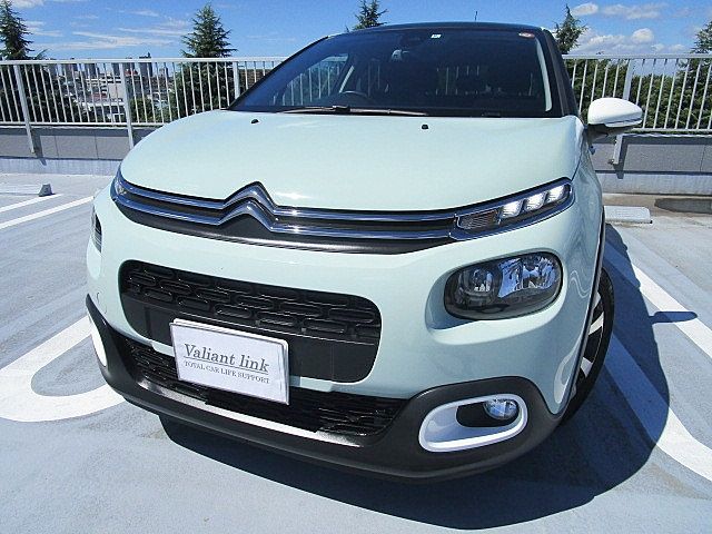 Citroen C3 2018-09 13288-21