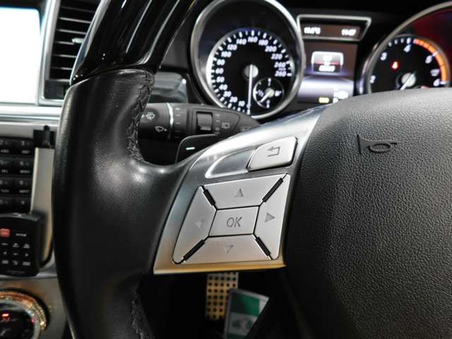 Mercedes Benz GL-CLASS 2015-08 196335-19