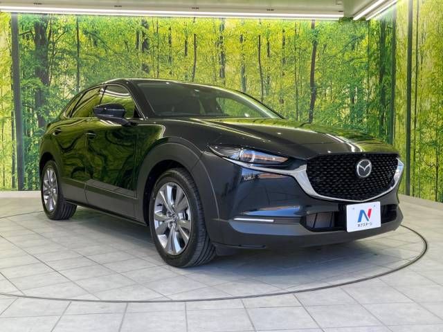 Mazda CX-30 2023-03 192578-14