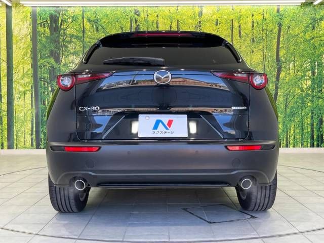 Mazda CX-30 2023-03 192578-13