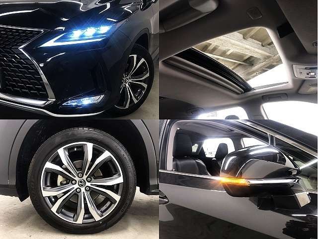 Lexus RX 2022-02 181562-8