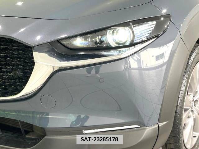 Mazda CX-30 2019-11 358515-12