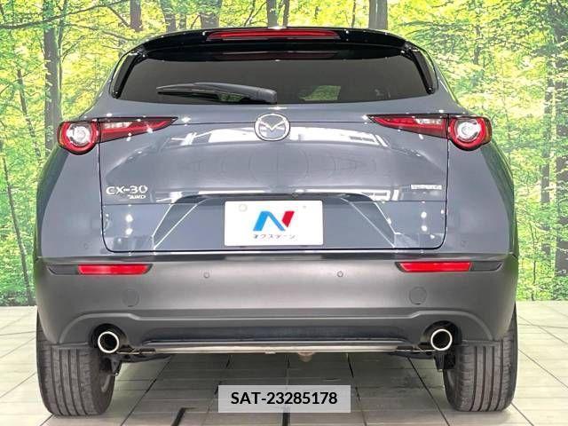 Mazda CX-30 2019-11 358515-15