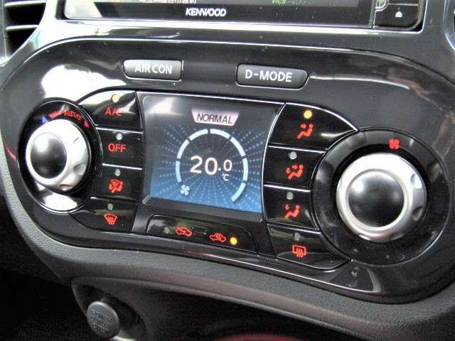 Nissan JUKE 2014-03 21831-12