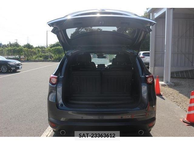Mazda CX-8 2018-03 203569-10