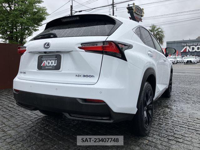 Lexus NX 2015-11 354061-6