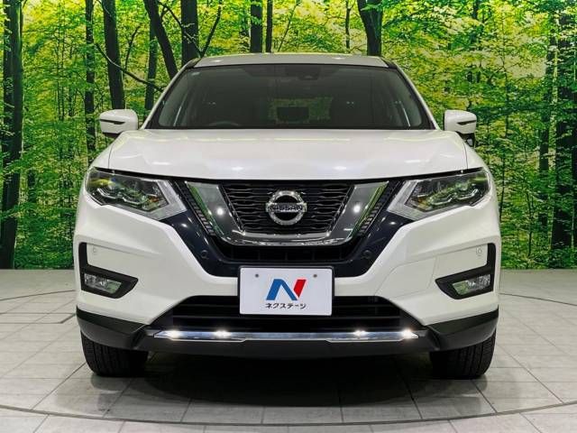 Nissan X-TRAIL 2018-06 195249-14