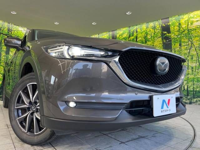 Mazda CX-5 2019-06 180552-12